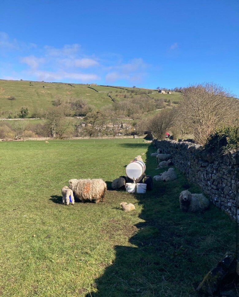 Intrepid students shine 