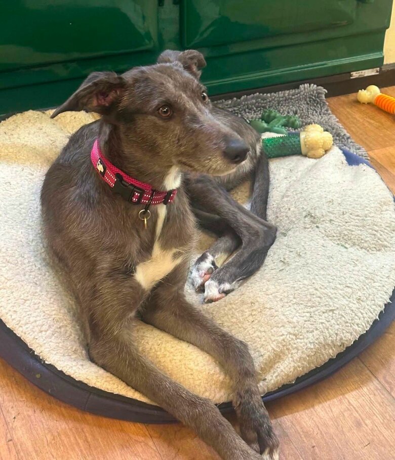 ​Another busy and memorable month in boarding