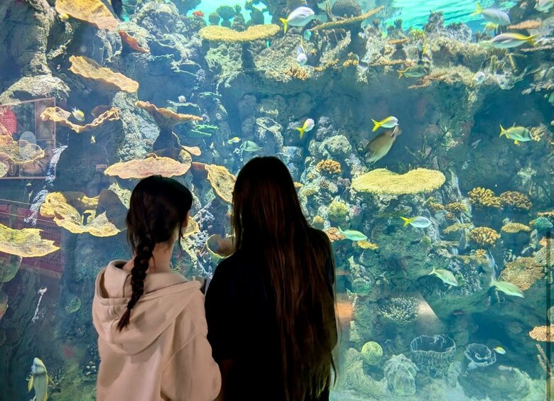 ​An underwater adventure at The Deep