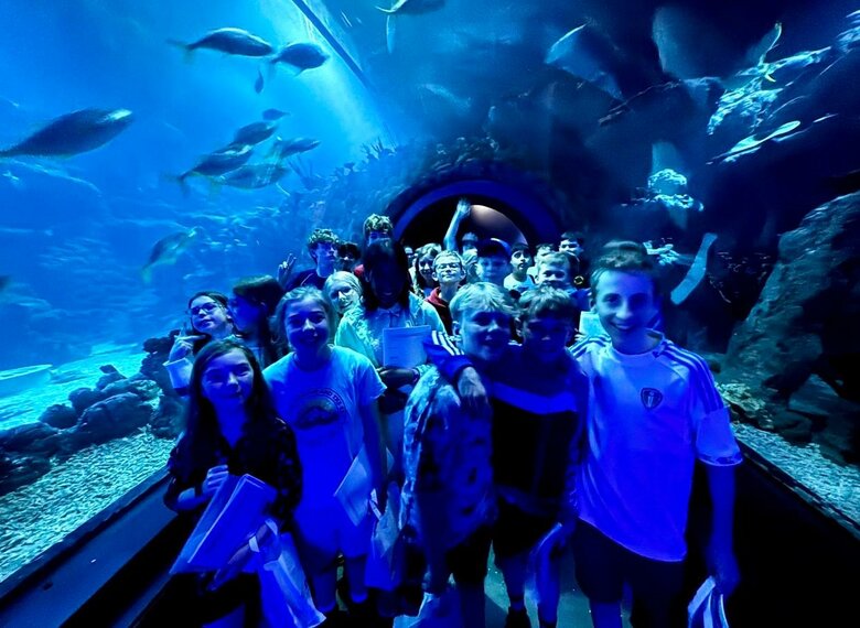 ​An underwater adventure at The Deep